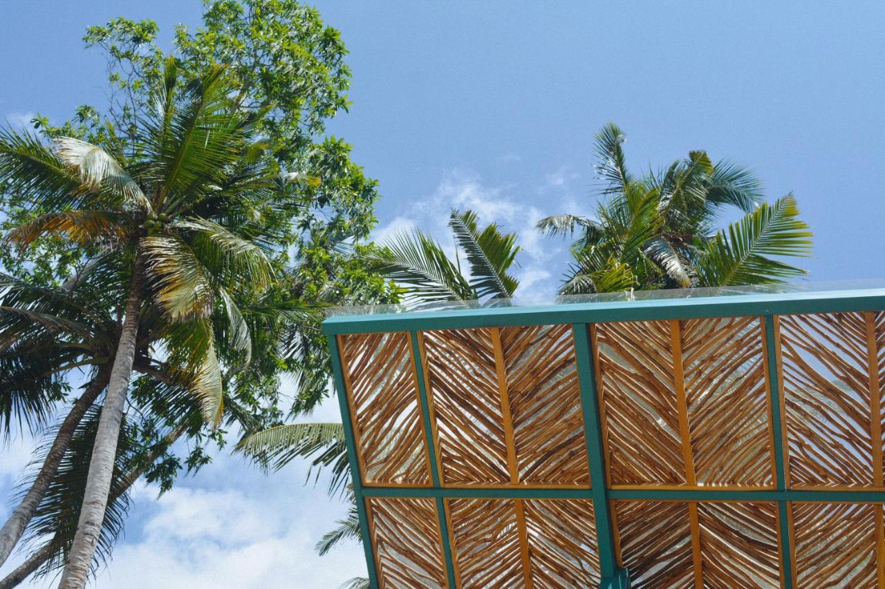 Dots Bay House Hotel ดิคเวลลา ภายนอก รูปภาพ